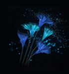 Honor Magic UI 2.0 Stock Wallpapers Mohamedovic 01