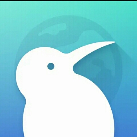 Puffin Browser أفضل 6 تطبيقات للتصفح تحتوي على فلاش