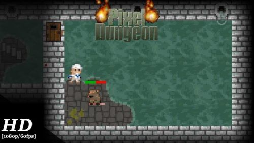 Pixel dungeon