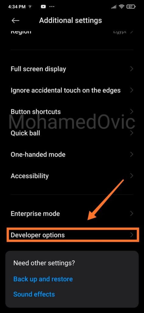 Enable OEM Unlocking USB Debugging MIUI 12 02