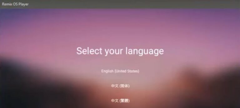 language 768x347 1