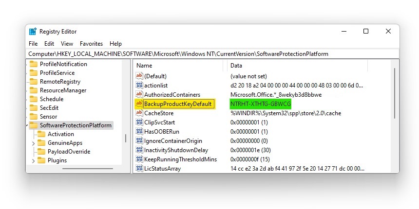 Get Windows 11 Key via Registry Editor 02