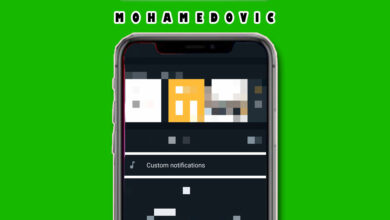 custom notification whatsapp MOHAMEDOVIC