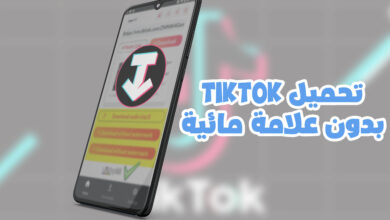 ssstiktok تحميل من التيك توك بدون حقوق APK