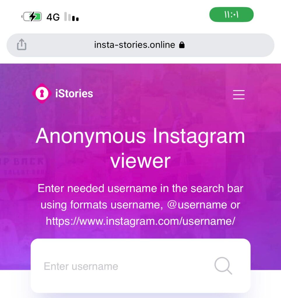 View Instagram Posts and Stories Without an Account 10