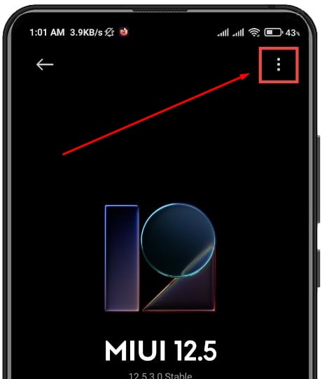 Install MIUI Firmware via Settings 03