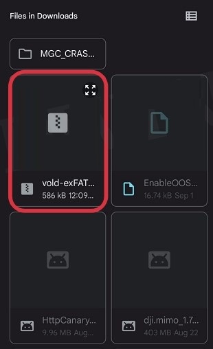 Install Vold exFAT via Magisk 03