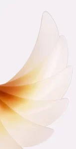 Oppo Find N2 Outer Wallpapers Mohamedovic.com 3