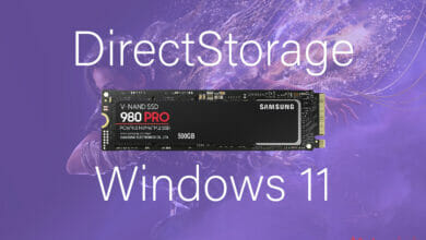 DirectStorage 1